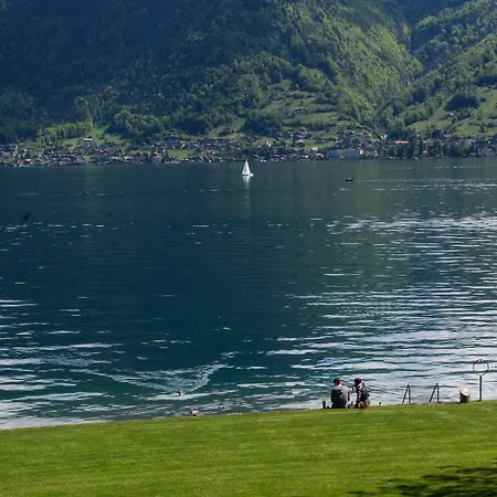 Seehotel Boutique Jaegerhof-hubertus 3* Faulensee