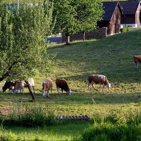 Hotel Seehotel Boutique Jaegerhof-hubertus Faulensee