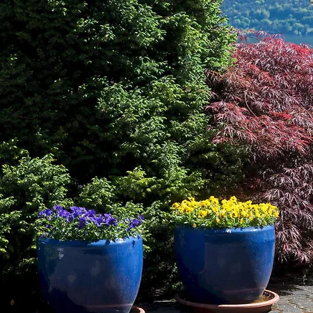 Seehotel Boutique Jaegerhof-hubertus 3* Фаулензее