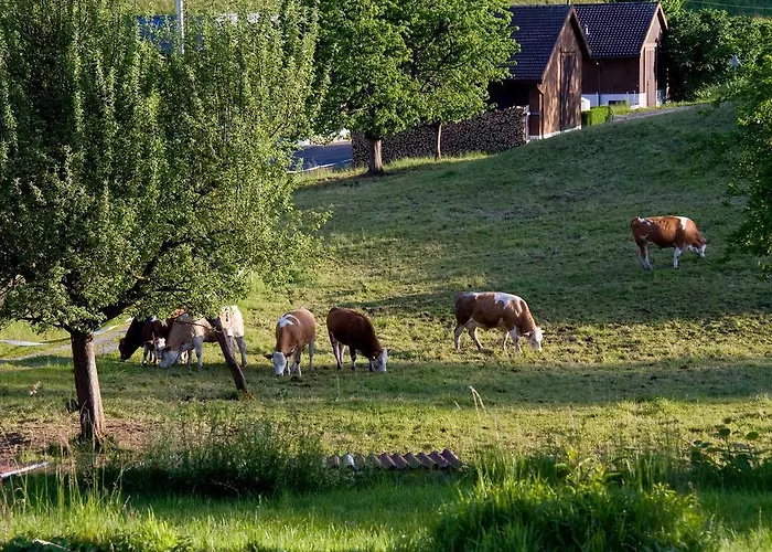 Hotell Seehotel Boutique Jaegerhof-hubertus Faulensee