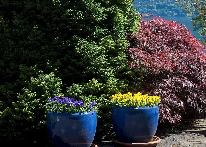 Seehotel Boutique Jaegerhof-hubertus 3* Faulensee