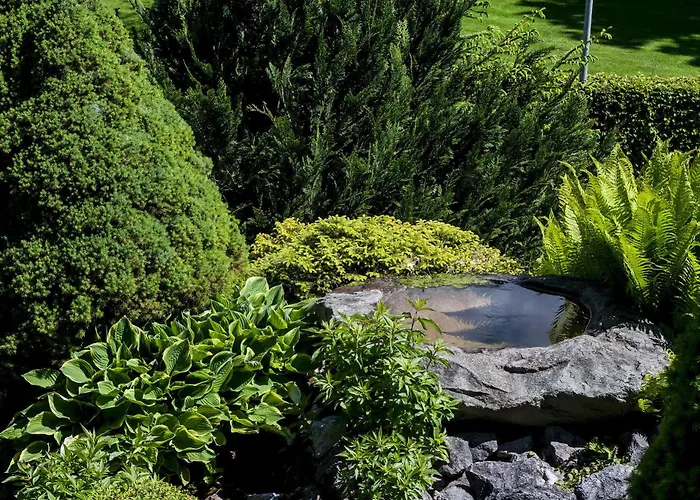 Hotell Seehotel Boutique Jaegerhof-hubertus 3*