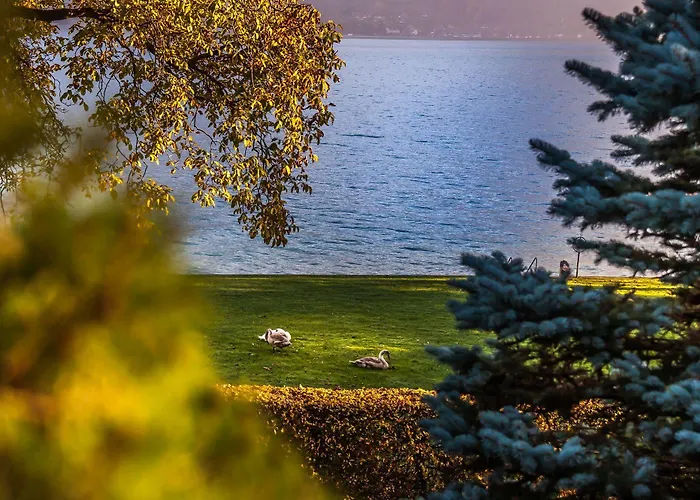 Seehotel Boutique Jaegerhof-hubertus 3* Faulensee