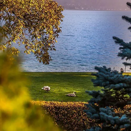 Seehotel Boutique Jaegerhof-hubertus 3* Faulensee