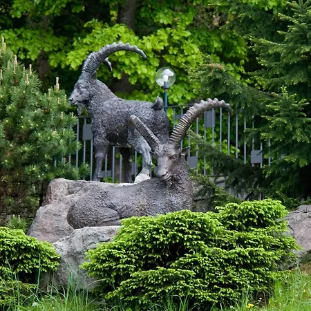 Hotel Seehotel Boutique Jaegerhof-hubertus