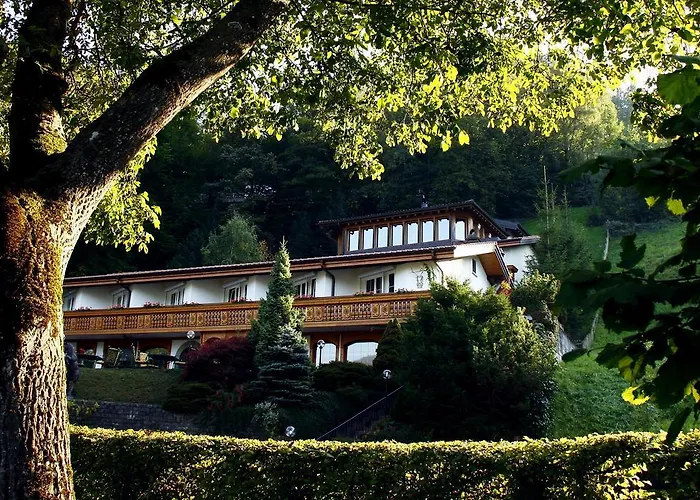 Hotel Seehotel Boutique Jaegerhof-hubertus Faulensee